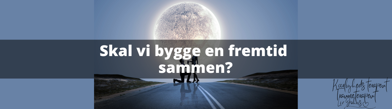 Skal vi bygge en fremtid sammen?